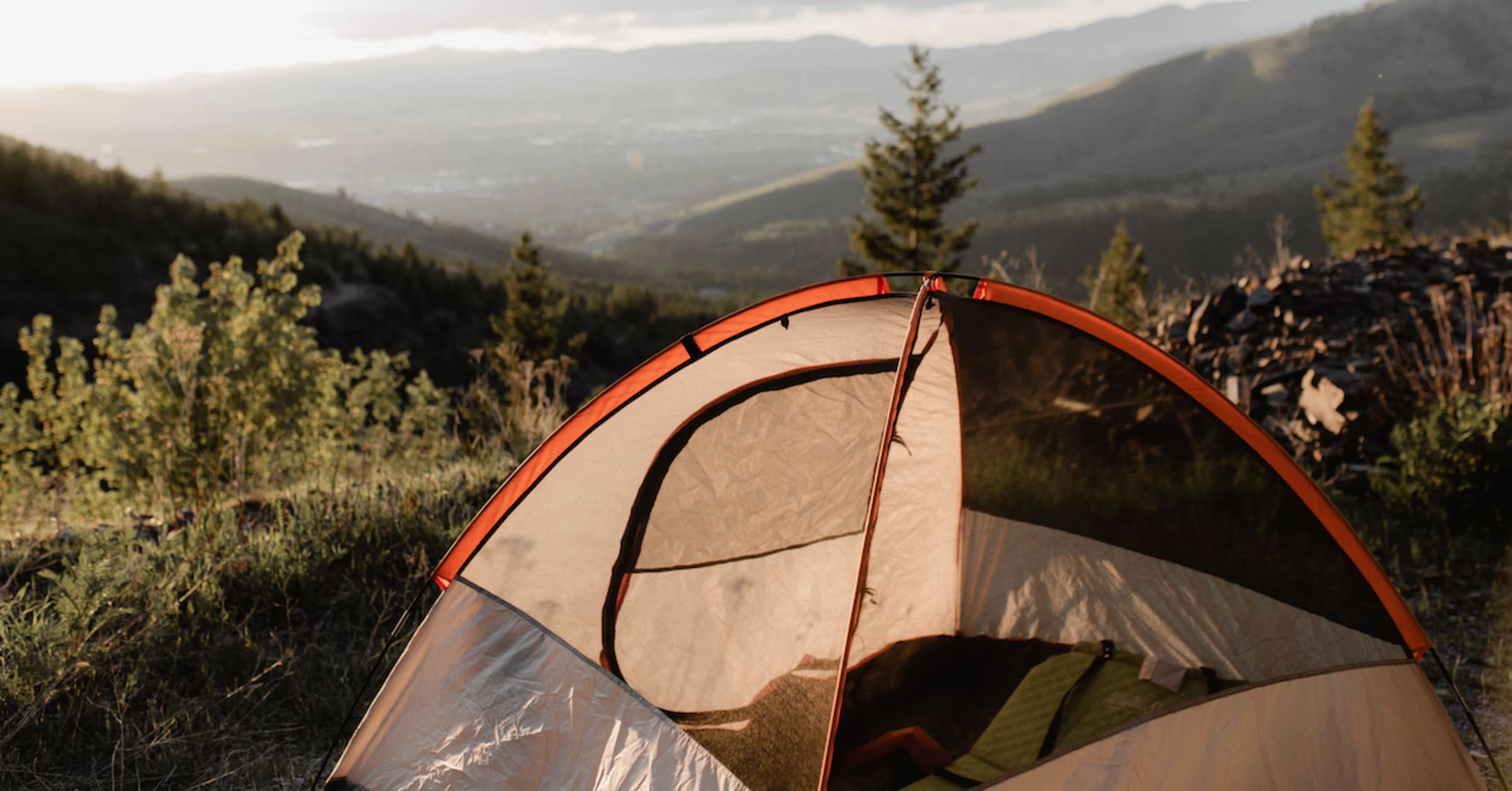 Bear Safety: Hosting and Camping Responsibly in Bear Country