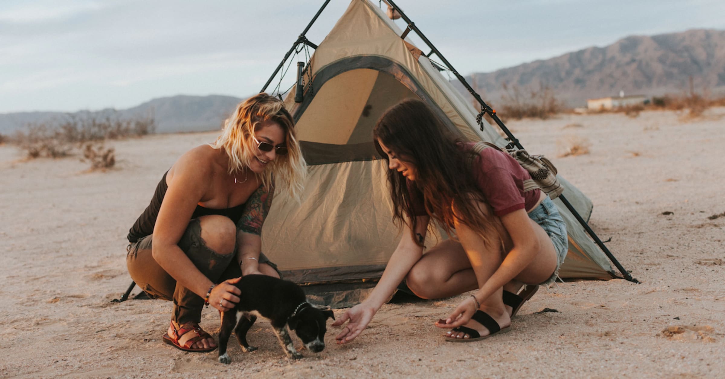 Joshua Tree snakes