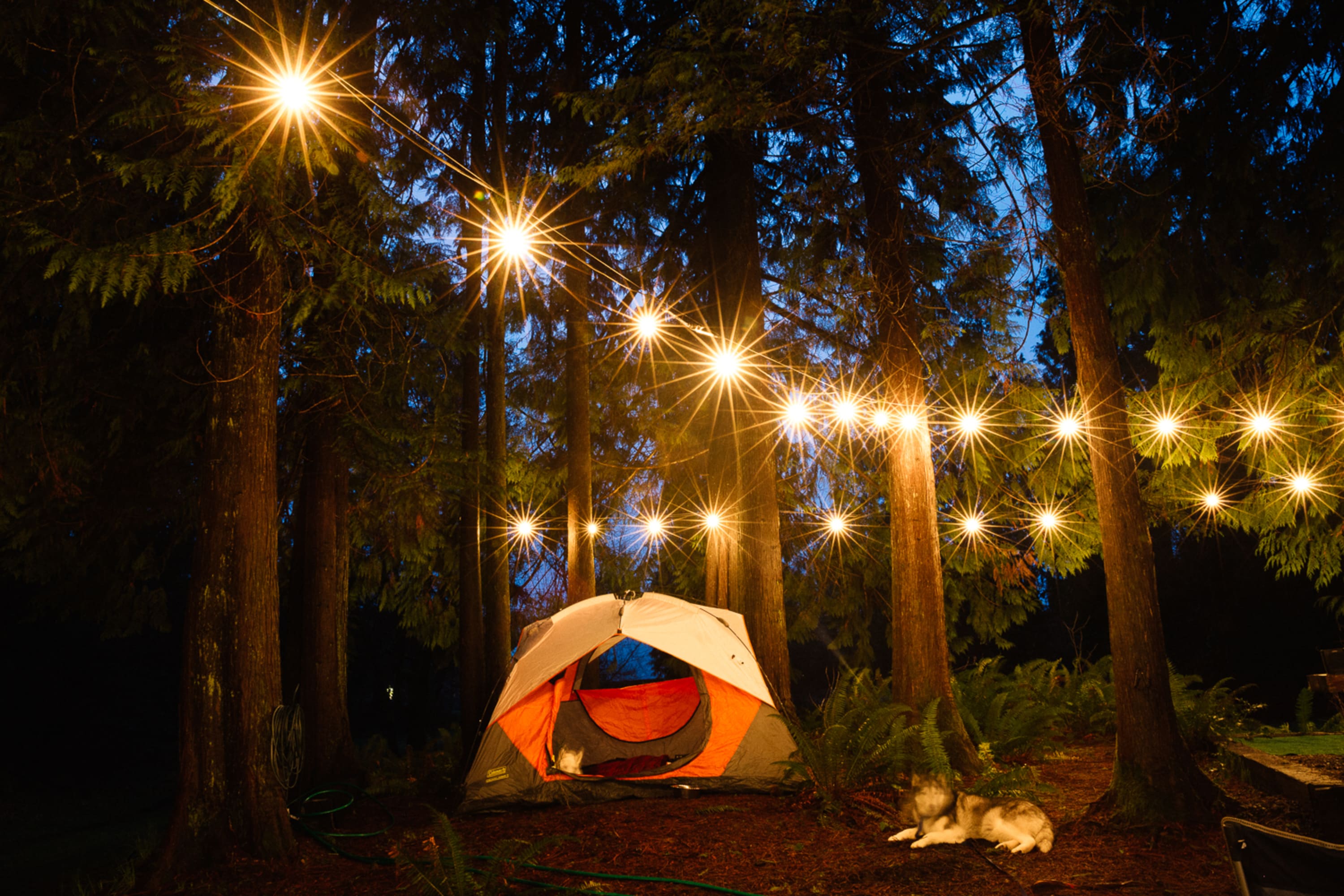 A camping scene