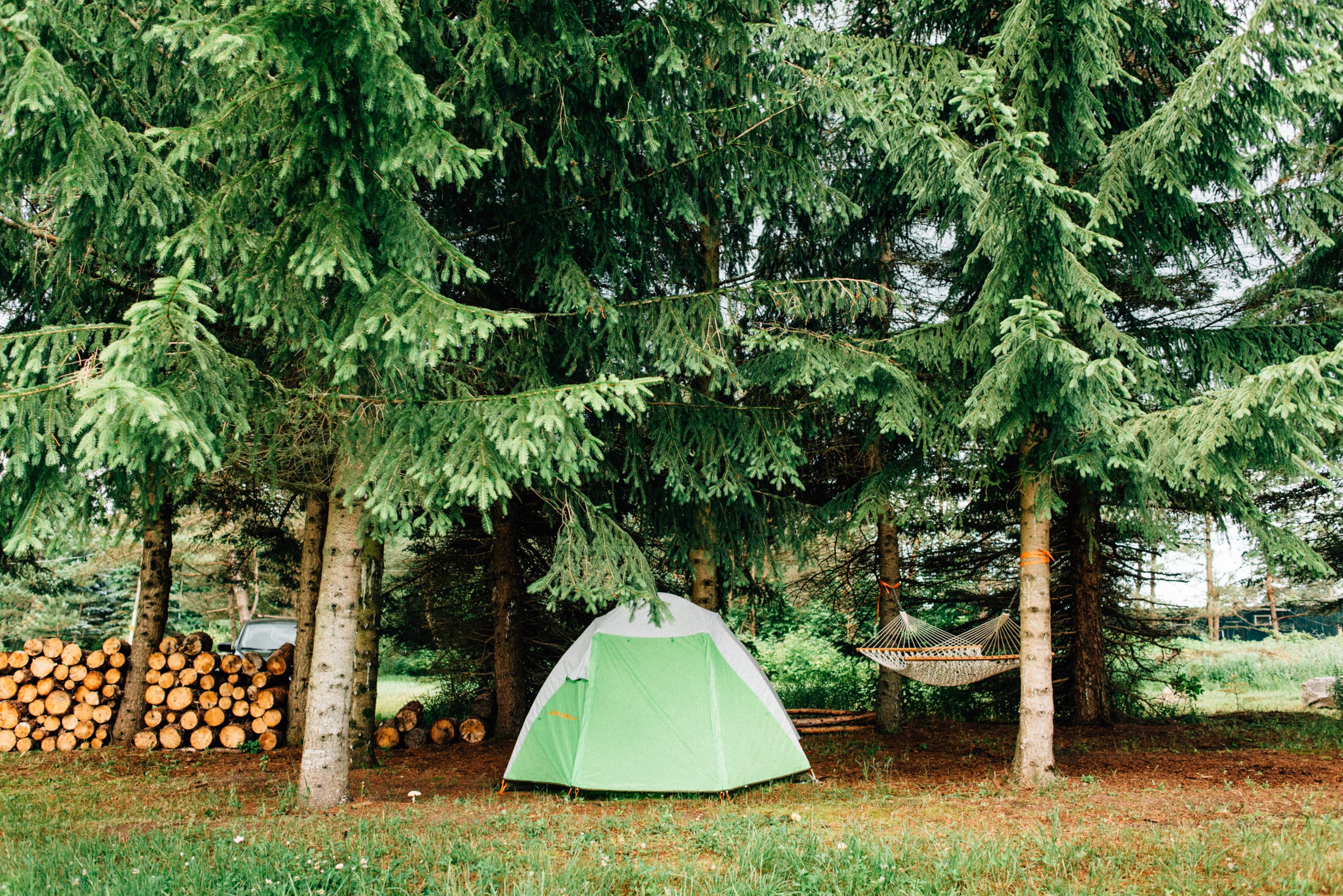tent-forest-hammock-farm-homesteading-hipcamp