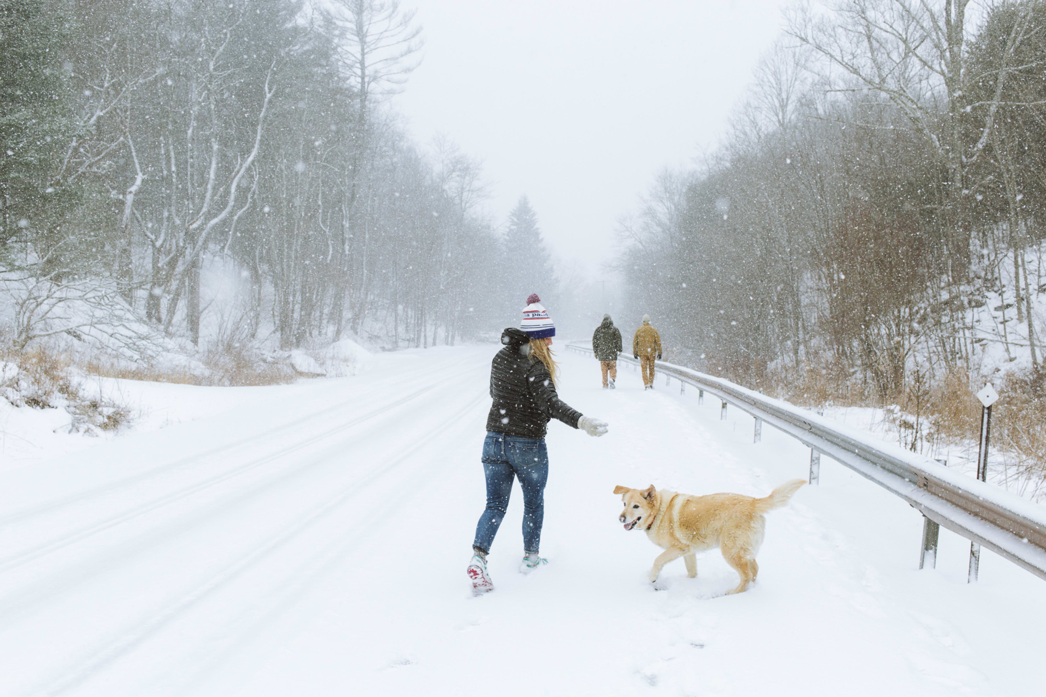 The Catskills in winter