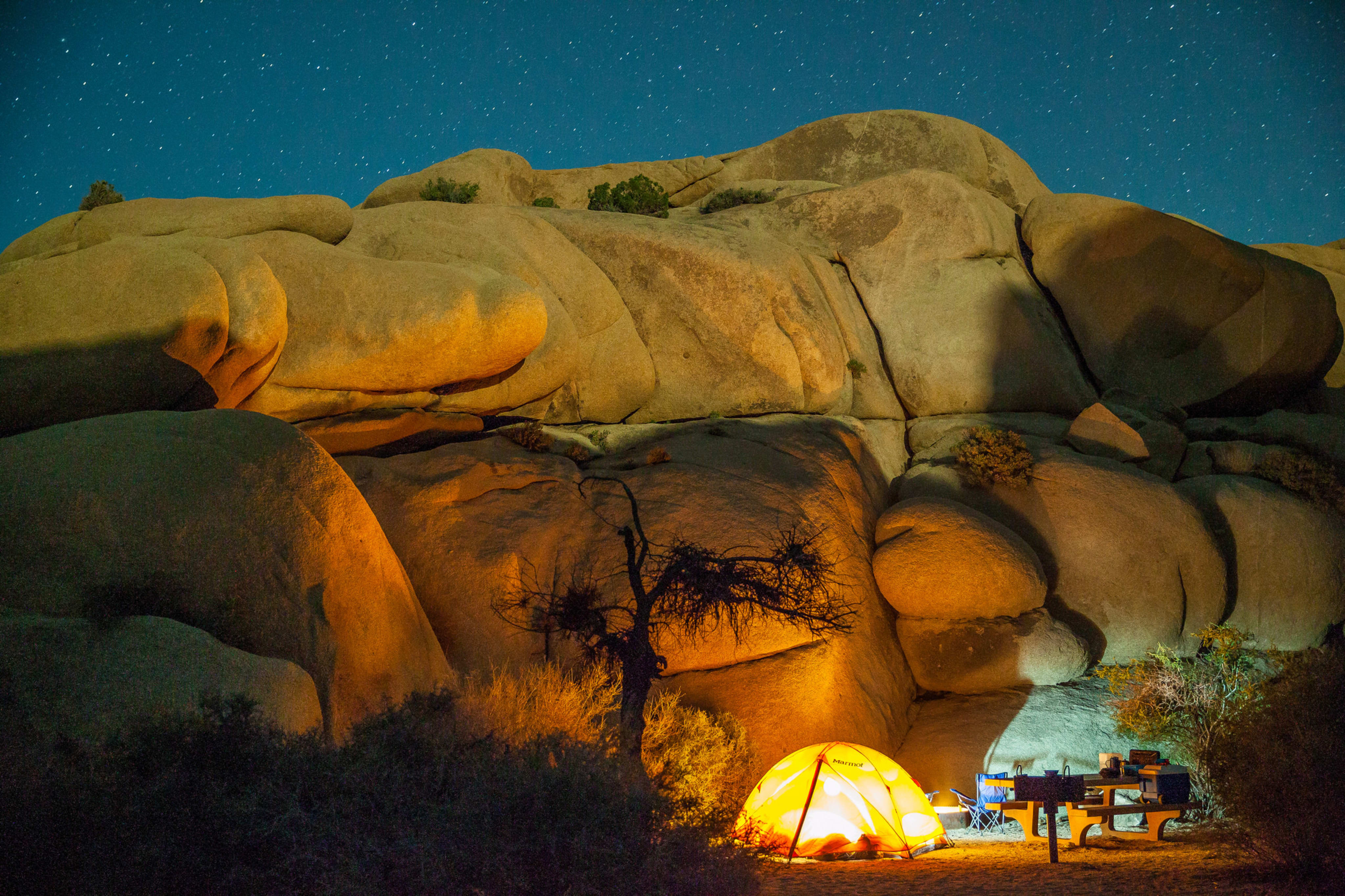 Joshua Tree is incredible to enter at night