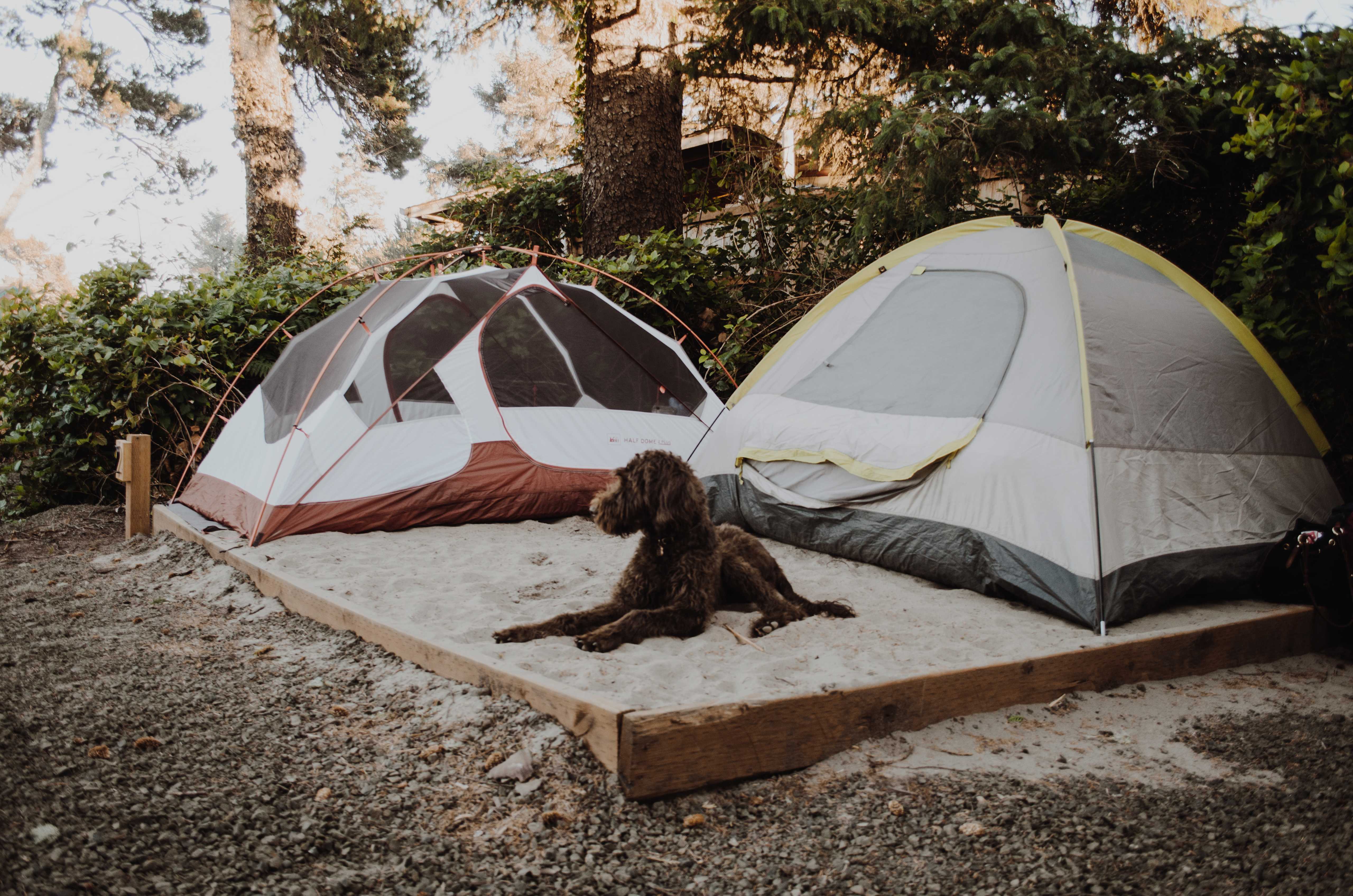 Unique tents on sale