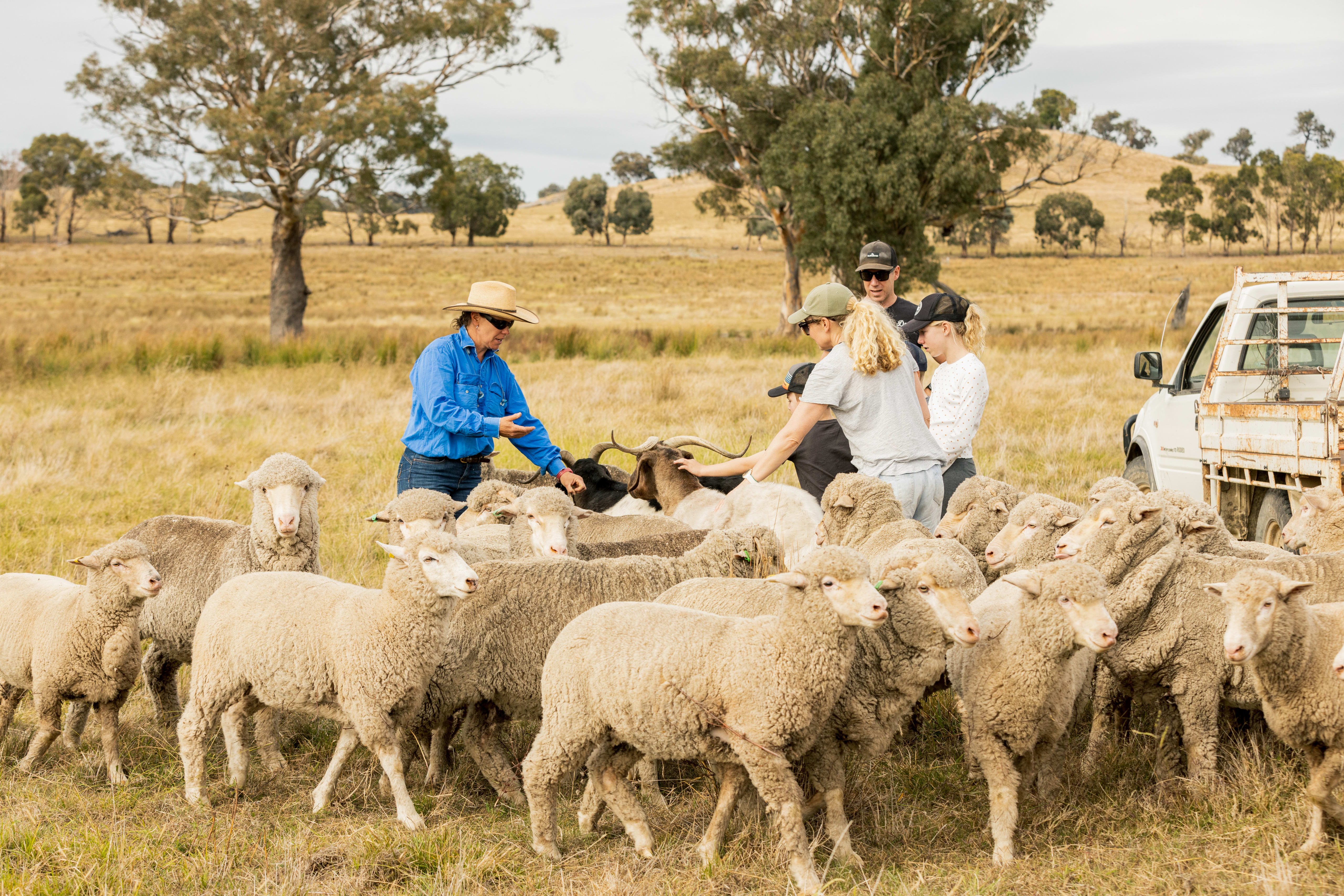 Agritourism reform in NSW