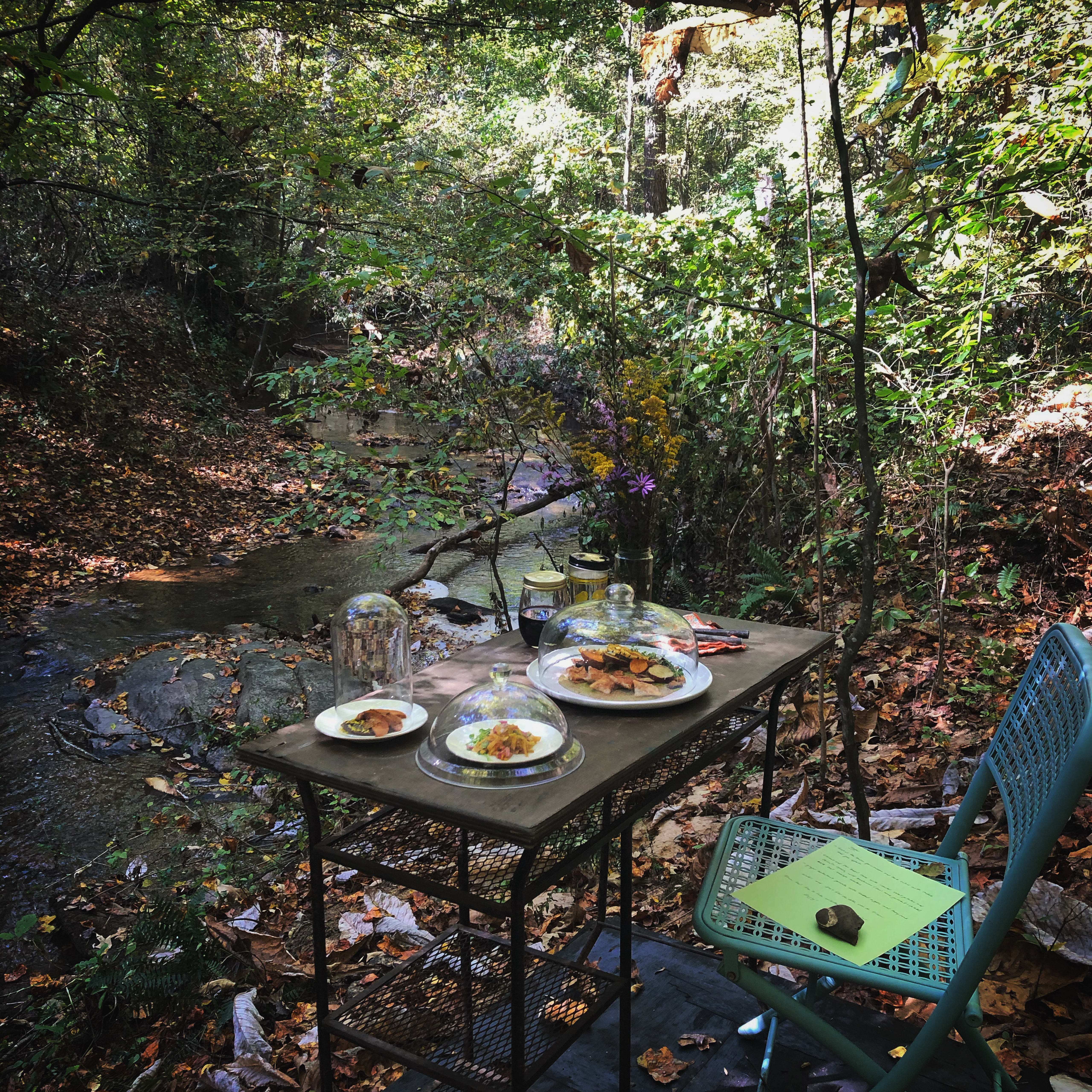 Table for One: A Solo Dining Experience in the Georgia Woods