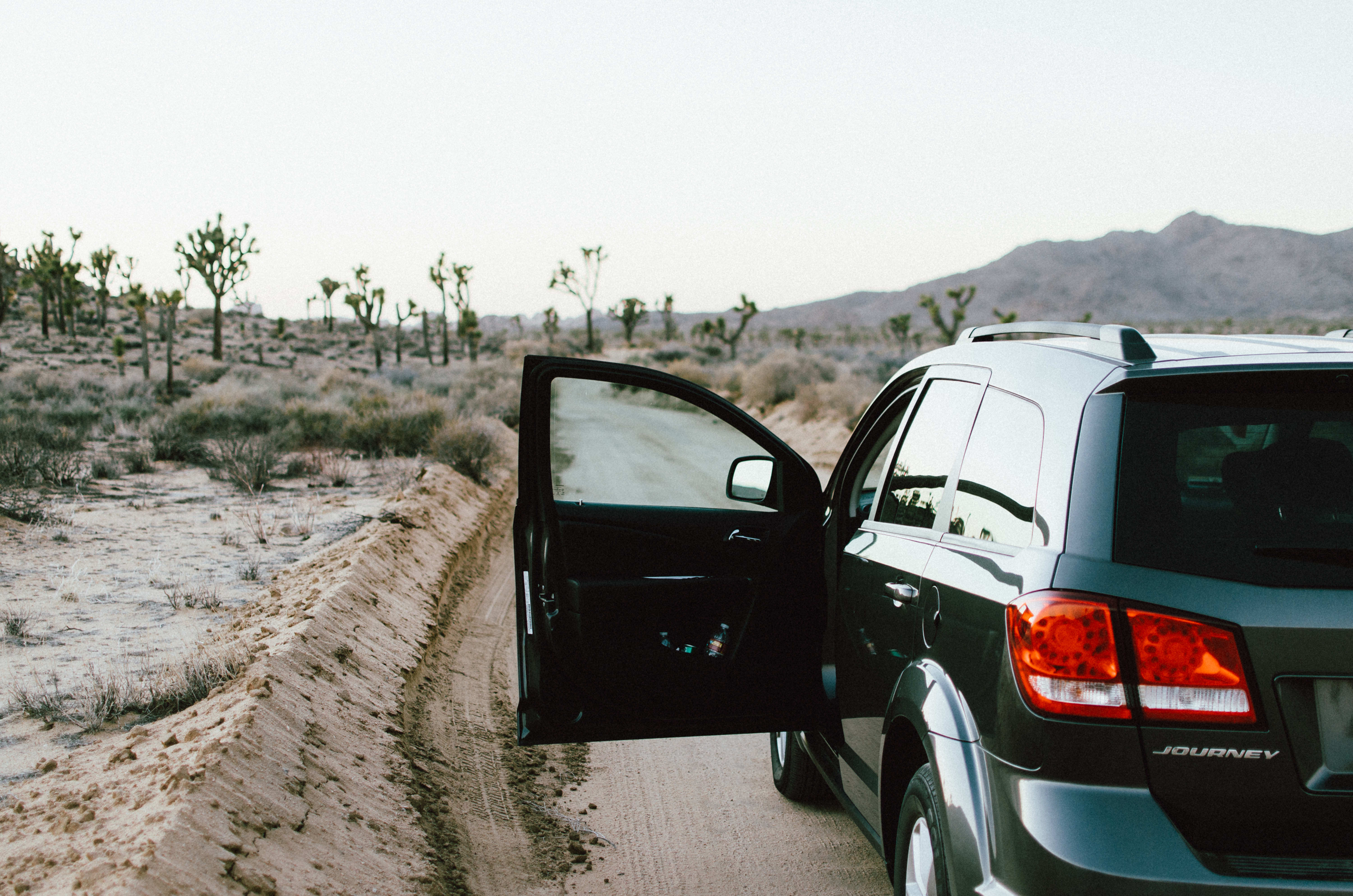 You can avoid sleeping in your car at Joshua Tree and avoid a citation with these tips