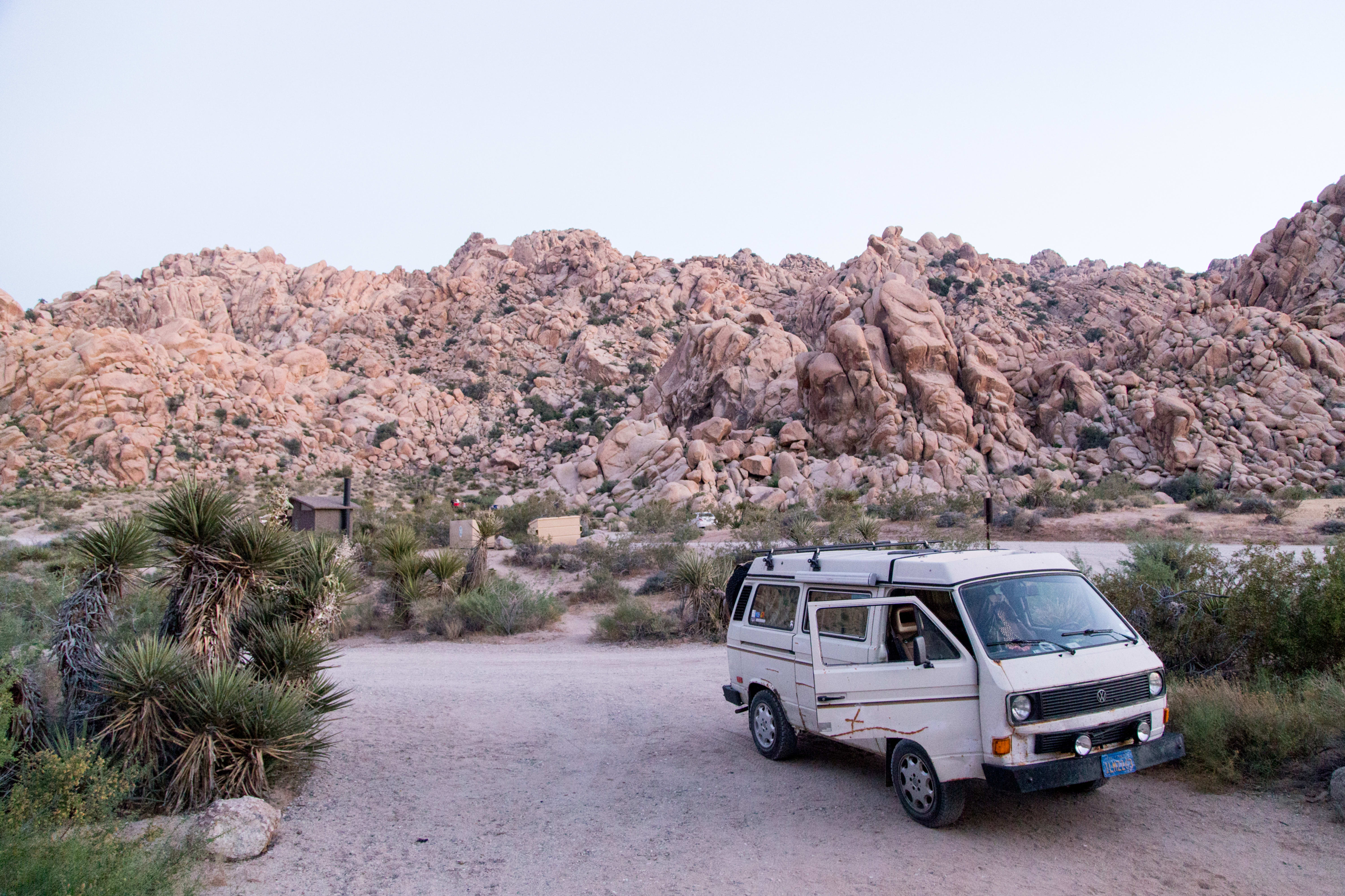 Which Entrance Is Best for Joshua Tree?